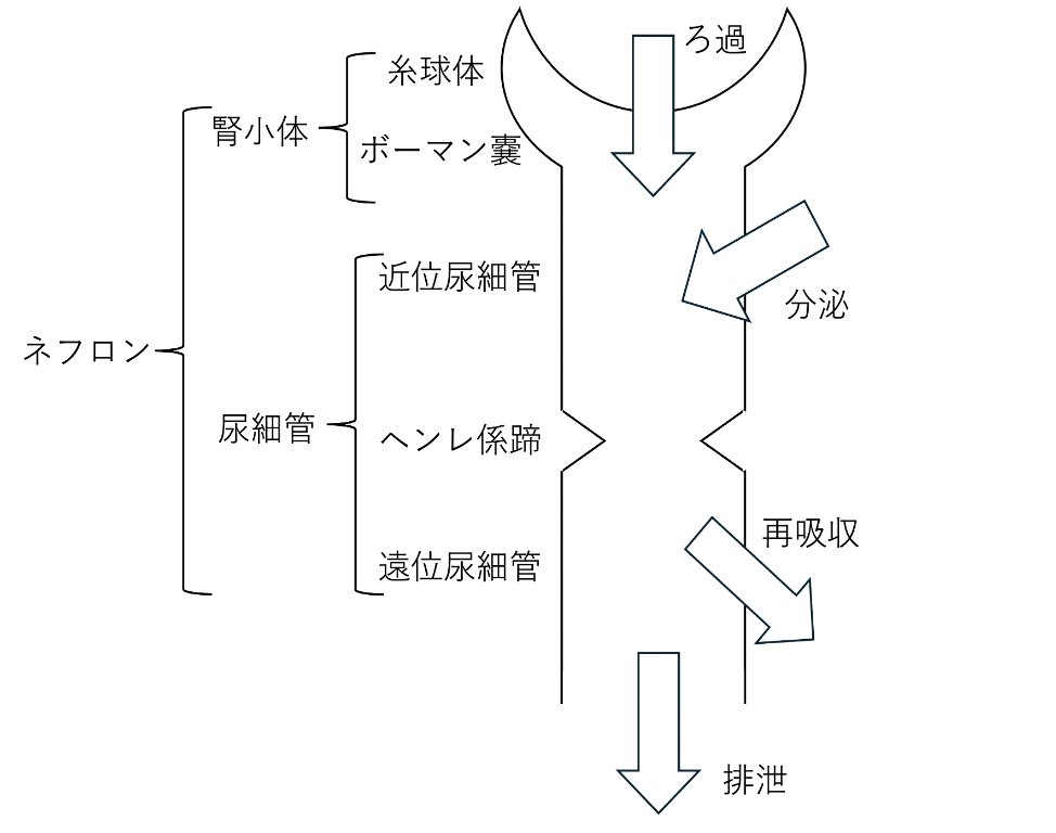 解説画像